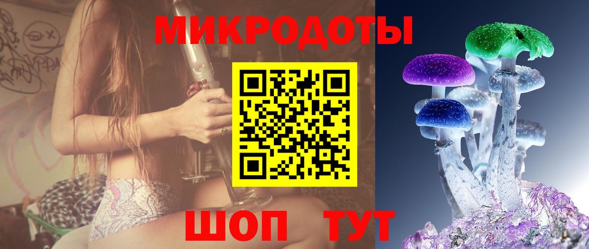 Псилоцибиновые грибы Psilocybe Гусев